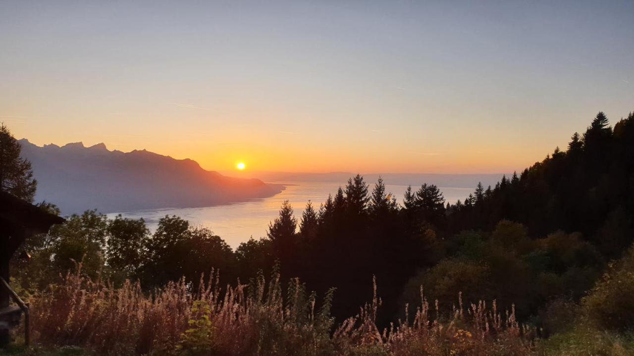 Bnb Belalp Montreux Exterior foto